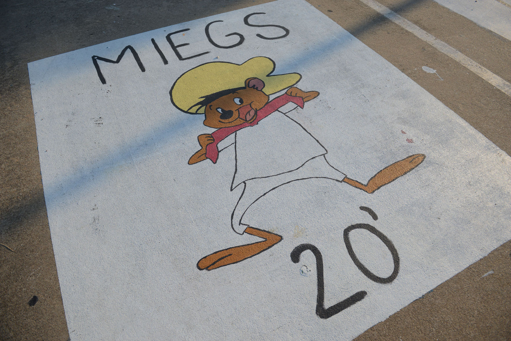 A&M Consolidated HS painted parking spots
